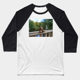 Little bear soft toy sitting on the fence Baseball T-Shirt